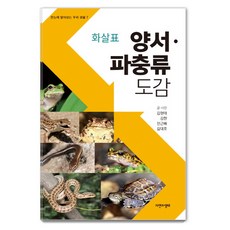 화살표 양서 파충류도감, 자연과생태, 김대호