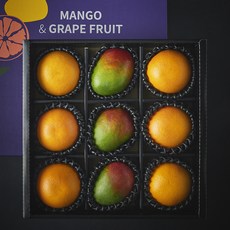 프레시몬 애플망고 3개입 + 자몽 6개입 선물 세트 3.3kg, 1세트