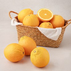 곰곰 칠레산 오렌지, 2.1kg, 1봉