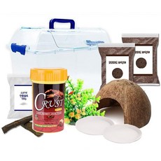  로라펫 코코피트 바닥재 크러스트 사료 소라게 키우기 세트, 혼합색상 