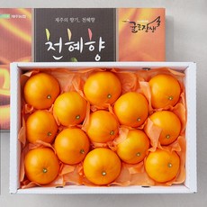 당도선별 제주 위미농협 천혜향, 3kg(중과, 12~15입), 1박스