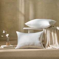 휴가드 진드기방지 베이직 베개솜, 2개 2개