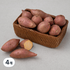 국내산 한입 호박고구마, 1.5kg, 4개