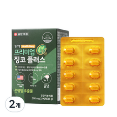 일양약품 헬스뱅 프리미엄 징코 플러스 500mg, 2개