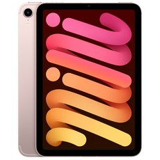 ['Apple 아이패드 mini', '핑크', '256GB', 'Wi-Fi+Cellular']