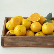 곰곰 당도선별 감귤, 2.5kg, 1박스