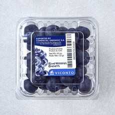 칠레산 점보 블루베리, 1개, 125g