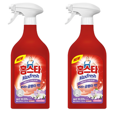 홈스타 맥스프레쉬 뿌리는 곰팡이 싹 세정제, 750ml, 2개
