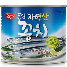 동원꽁치 동원 꽁치 통조림 1800g 1개