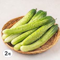 백오이, 2kg, 2개 2kg, 2개