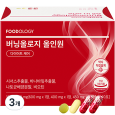 푸드올로지 버닝올로지 올인원 다이어트 보조제 19g, 10회분, 3개