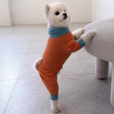 Dog Eye狗狗衣服多合一涼感衣, 1個, 深珊瑚