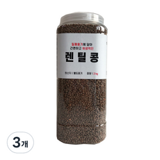 대한농산 통에담은 렌틸콩, 2kg, 3개