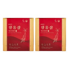 니몸내몸 6년근 장홍삼 에브리데이 홍삼 스틱 100p, 1kg, 2개 100포, 10g, 2박스