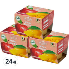 네츄럴누바 유기농 생과일 퓨레 100g