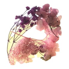 A-ONE 匯旺 浮游花DIY花材包 Set 3包 - 燦紫緋舞 H44, 10g, 彩色, 天然植物乾燥花, H44 煙紫輕舞 彩色