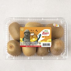 제스프리 제주 썬골드키위, 1.1kg(점보), 1팩