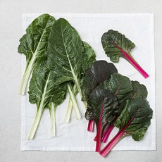 근대 & 적근대, 300g, 1개