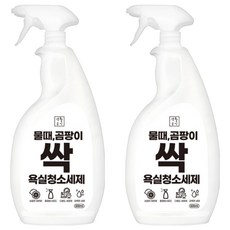 생활공식 물때 곰팡이 싹 욕실청소세제, 2개, 600ml