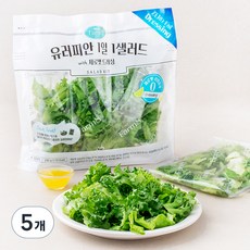 팜에이트 유러피안 1일 1샐러드 with 제로팻 드레싱, 240g, 5개