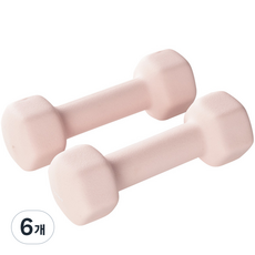앳플리 LW 미용 아령, 2kg, 6개