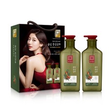 동의홍삼 두피 진정 케어 홍삼샴푸 솔잎향, 2개, 500ml