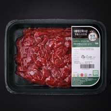 녹색한우 무항생제인증 1++등급 양지 세절 국거리용 (냉장), 300g, 1개