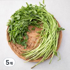 국내산 친환경 미나리, 200g, 5개