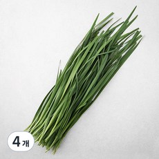 국내산 유기농 부추, 200g, 4개