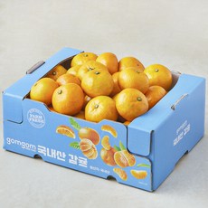 곰곰 국내산 감귤, 3kg(로얄과), 1개