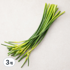 국내산 마늘종, 200g, 3개 200g, 3봉