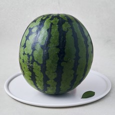 곰곰 못생겨도 맛있는 수박, 3kg 이상, 1개