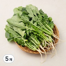 국내산 열무, 1.2kg, 5개