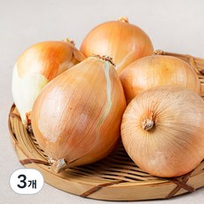 국내산 친환경 양파, 800g, 3개