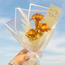 이플린 조화 LED 카네이션 꽃다발 + 쇼핑백, 금, 1개