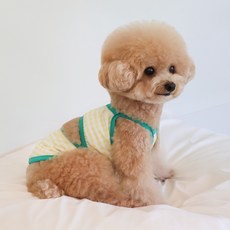 Grooming Dog 小狗 dankini 泳裝, 綠色