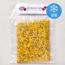 패션 후르츠 퓨레 (냉동), 1kg, 1개