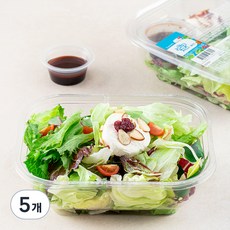 팜에이트 리코타치즈 샐러드, 160g, 5개