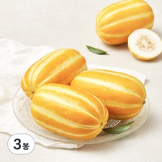 성주 당도선별 참외, 1.2kg(4~5입), 3봉