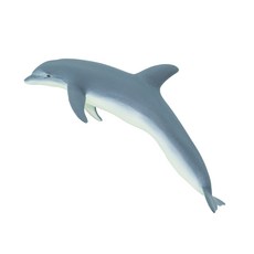 돌고래모형