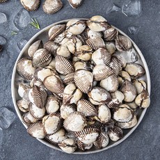 바다림 서해안에서 키운 산지직송 생물 새꼬막 (냉장), 1.5kg, 1개