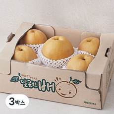 원농산 당도선별 신고배, 3박스, 3kg(3~6입)