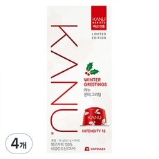 카누 바리스타 머신 전용 캡슐커피 윈터그리팅, 10g, 4개, 10개입
