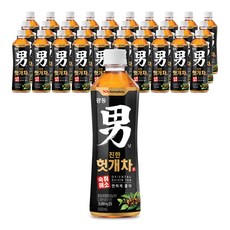 광동 진한 헛개차, 500ml, 48개