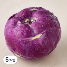 콜라비, 1개입, 5개 1개입, 5개
