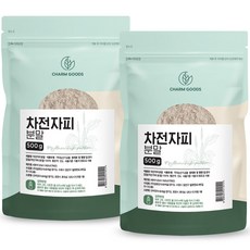 Charm Goods 차전자피 분말, 2개, 500g