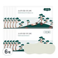 라운드랩 소나무 진정 시카 코팩, 5개입, 6개