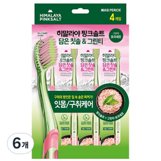 페리오 히말라야 핑크솔트 담은 칫솔 그린티 4개입 6개