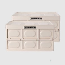JINSIMGAMSUNG 多用途折疊收納箱, Cream Beige, 2入