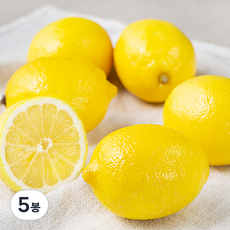 곰곰 미국산 레몬, 1kg, 5봉 1kg × 5봉 섬네일